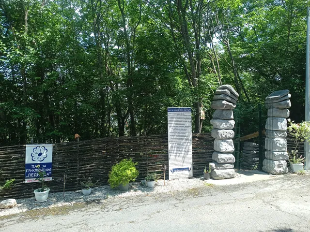 photo-1