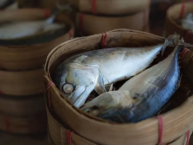 Bread & Puppet Theatre