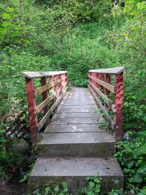 Shinglemill Creek Natural Area