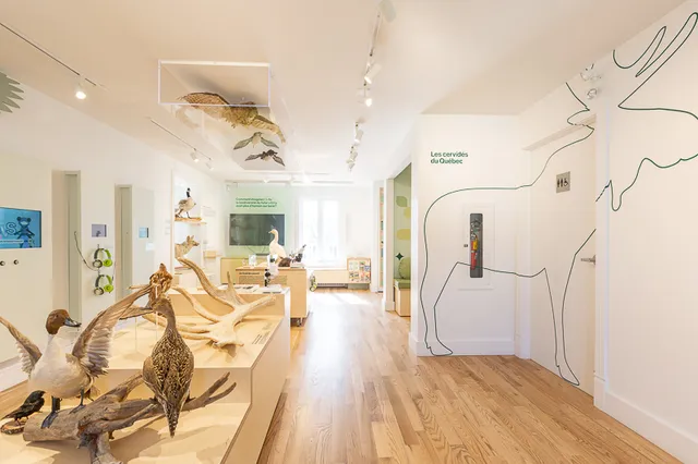 La Maison Léon-Provancher