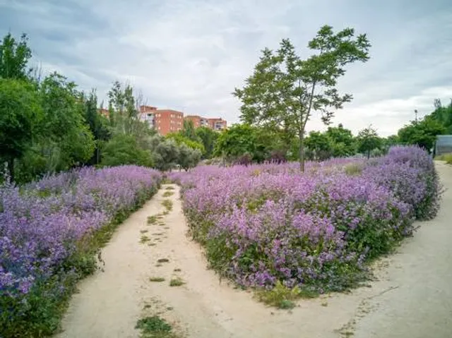 Parque Central del Vallès