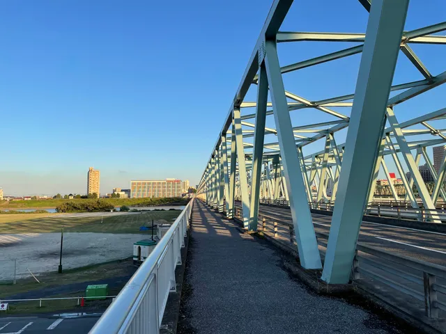 Ichikawa Bridge (Edo River)