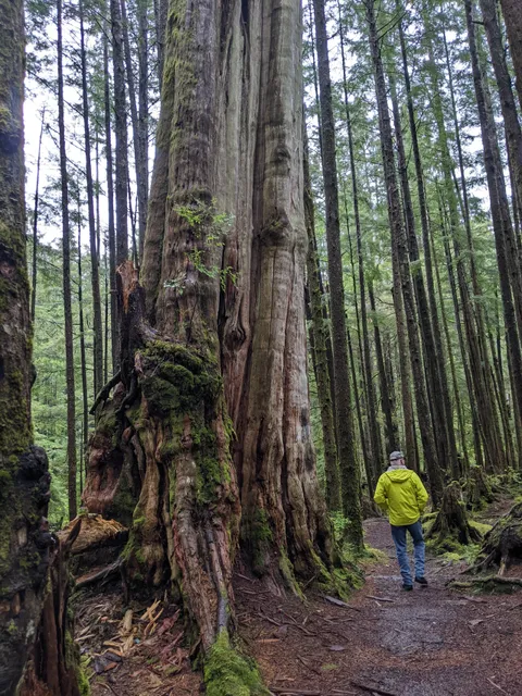 McClymont Park Trail