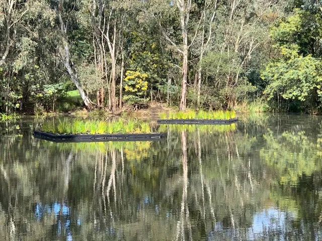 Alphington Wetlands
