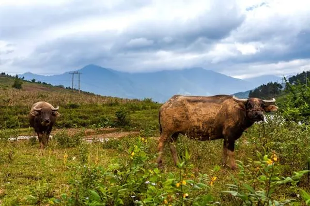 Ramtal Garden and sunrise point