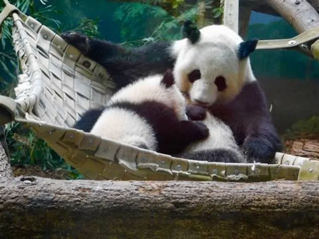 Zoo Atlanta