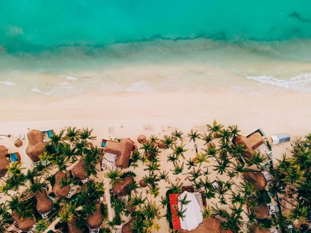 Buenavista Surf Camp