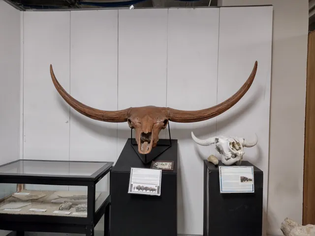 Orma J. Smith Museum of Natural History