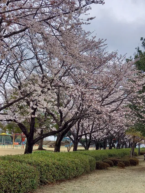 Chiyodamachi Tobu Sports Park