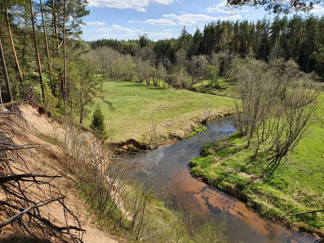 Piusa jõe ürgoru matkarada