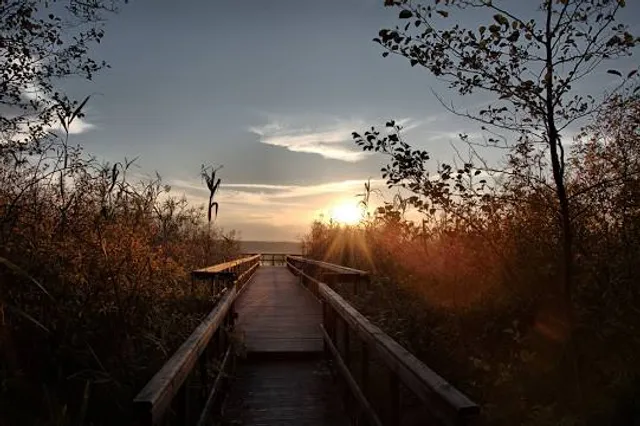 Nature trail "Spławy"