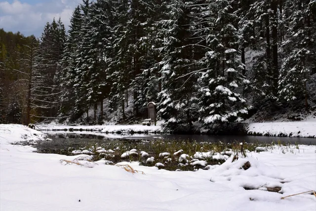 Museum of the honey-bee