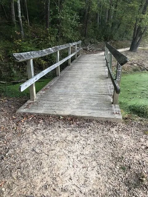 Louise F Cosca Regional Park