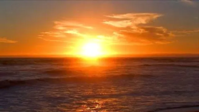 Beach Front Cottages