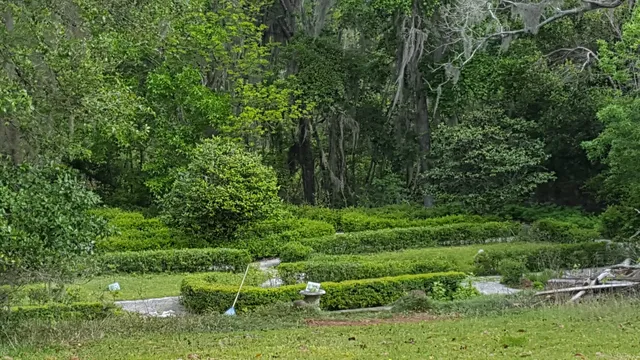 Altama Plantation WMA