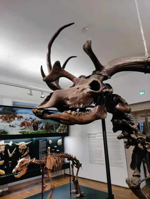 Naturkundemuseum