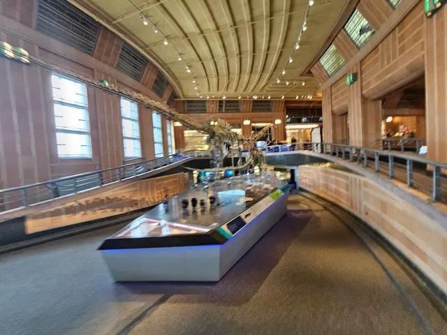 Museum of Natural History & Science