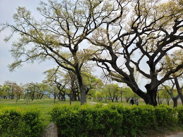 The tomb of King Jinpyeong of Silla