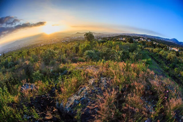 Área Natural Protegida Parque Ecológico de la Ciudad de México