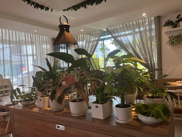 Cafe Cafe at Texas Inn