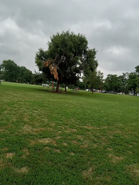 Hills Pet Nutrition Bark Park