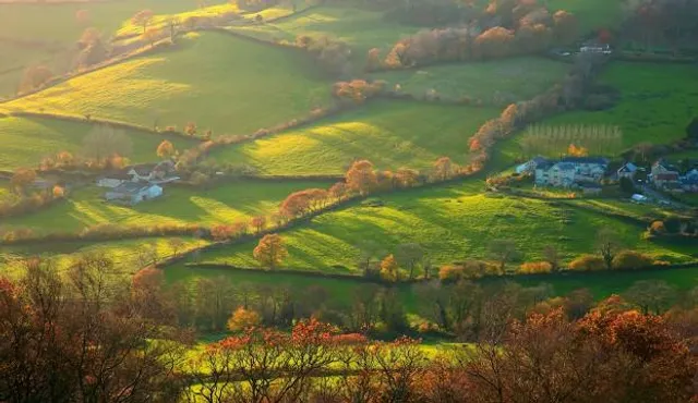 East Devon Area of Outstanding Natural Beauty