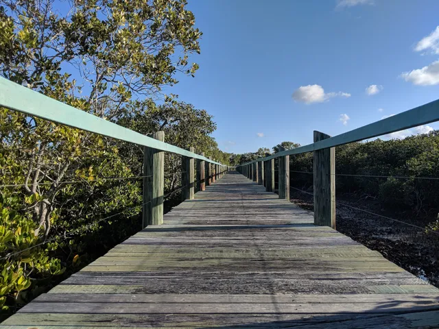 Maroochy River Conservation Park