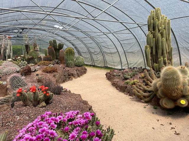 Royal Botanic Garden Juan Carlos I