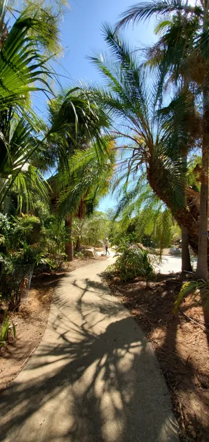 Edwin and Frances Hunter Arboretum