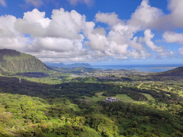 Roberts Hawaii Tours & Transportation