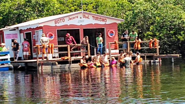 Flutuante Boto Jacaré Ubal