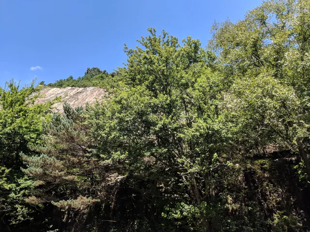 photo-1