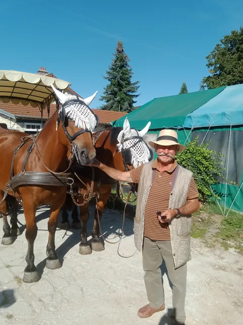 Attelages de Fontainebleau