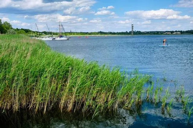 Großer Goitzschesee