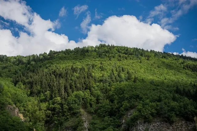Highland Forest County Park