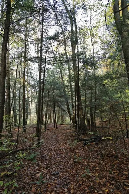 Susquehannock State Forest