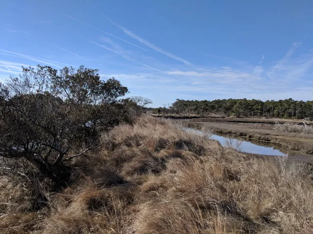 John Walter Smith Park