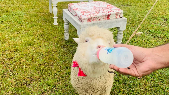 Estância Santa Bárbara