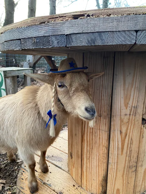 The Farm at Awbury Arboretum