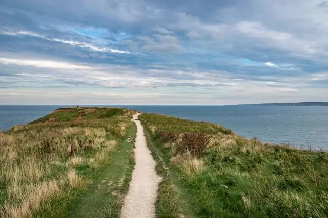Filey Brigg Country Park