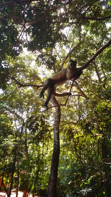 Parque Ecológico Jatobá Centenário