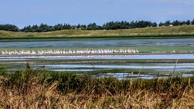 Union Slough National Wildlife Refuge