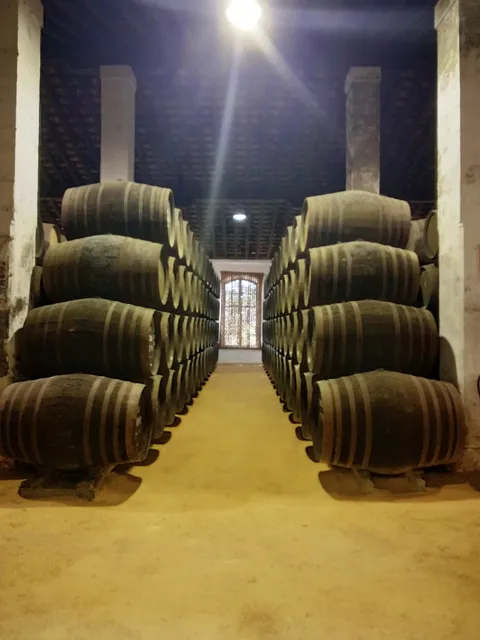 Bodegas El Maestro Sierra