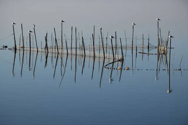 La Plage des Américains