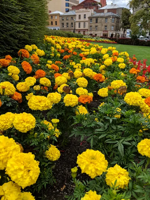 Parliament House Gardens