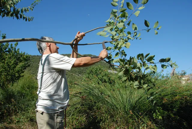 Le Conservatoire de la Fourche
