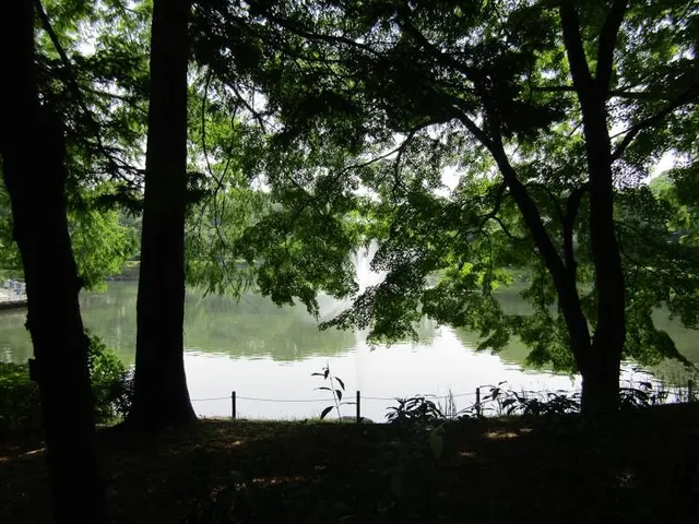 Central Park (Tochigiken)