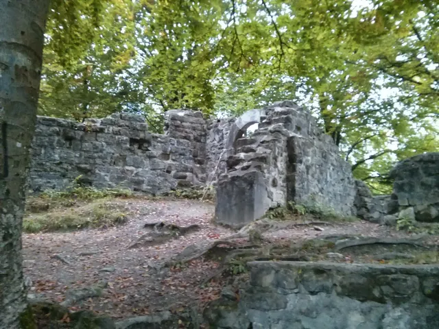 Ruines du château de Friesenberg