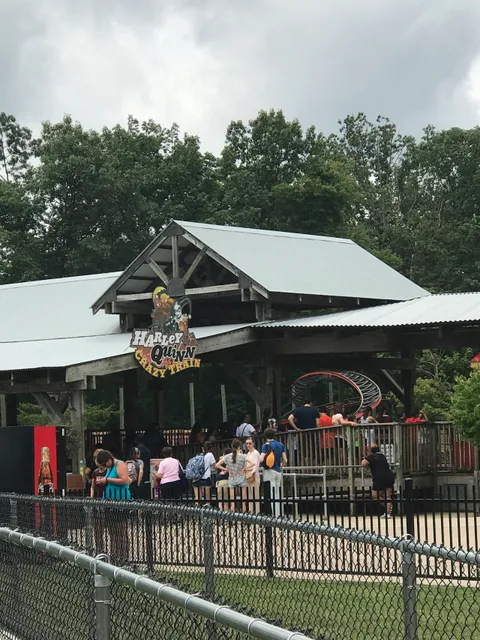 Harley Quinn Crazy Train