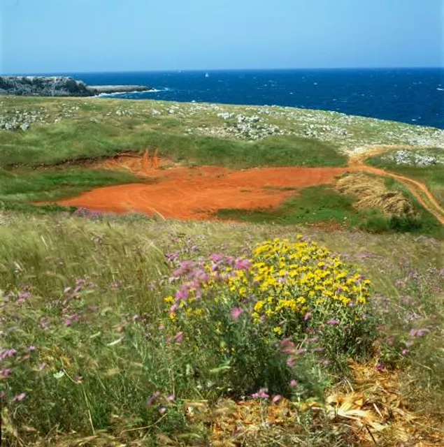 Ente Parco Naturale Regionale Costa Otranto Santa Maria di Leuca e bosco di Tricase